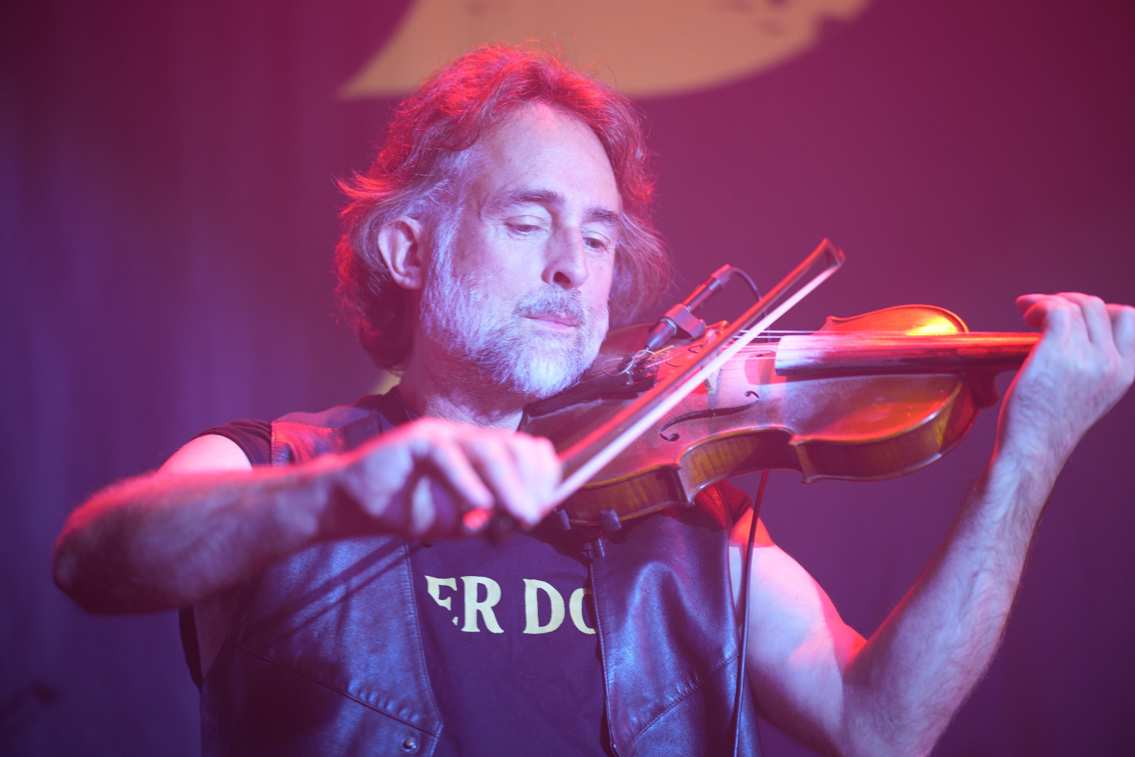 Ferocious dog at the sugarmill in Stoke