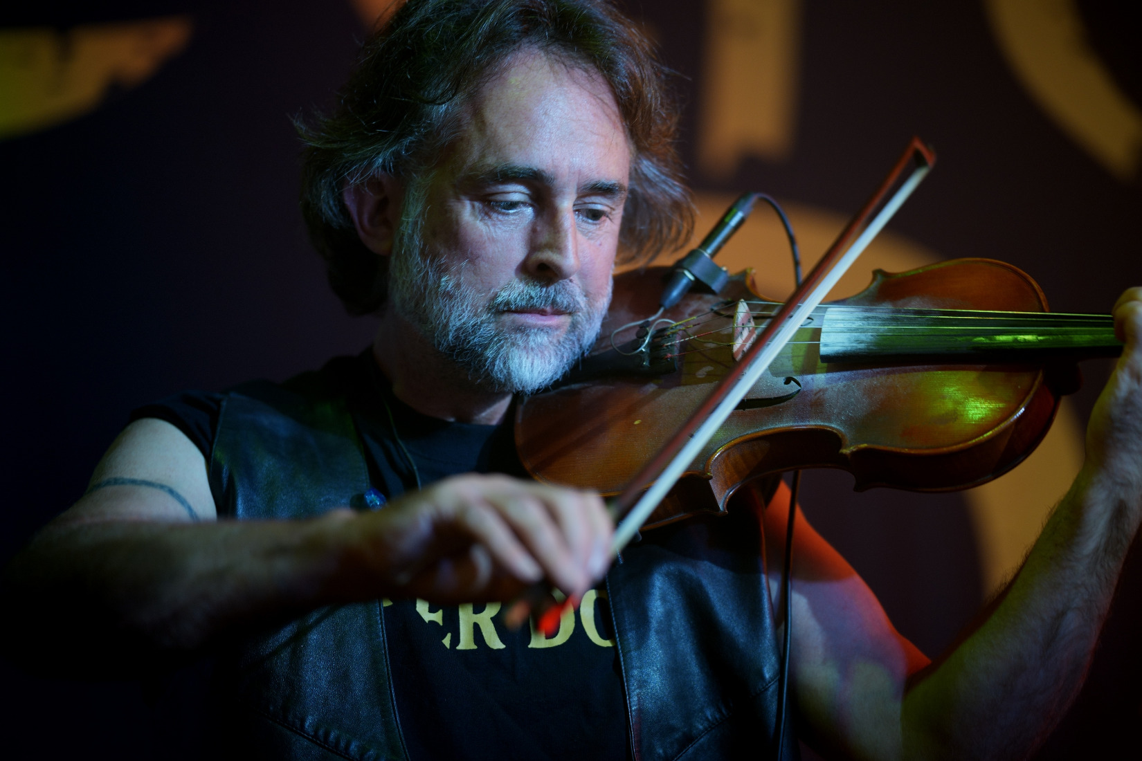 Ferocious dog at the sugarmill in Stoke