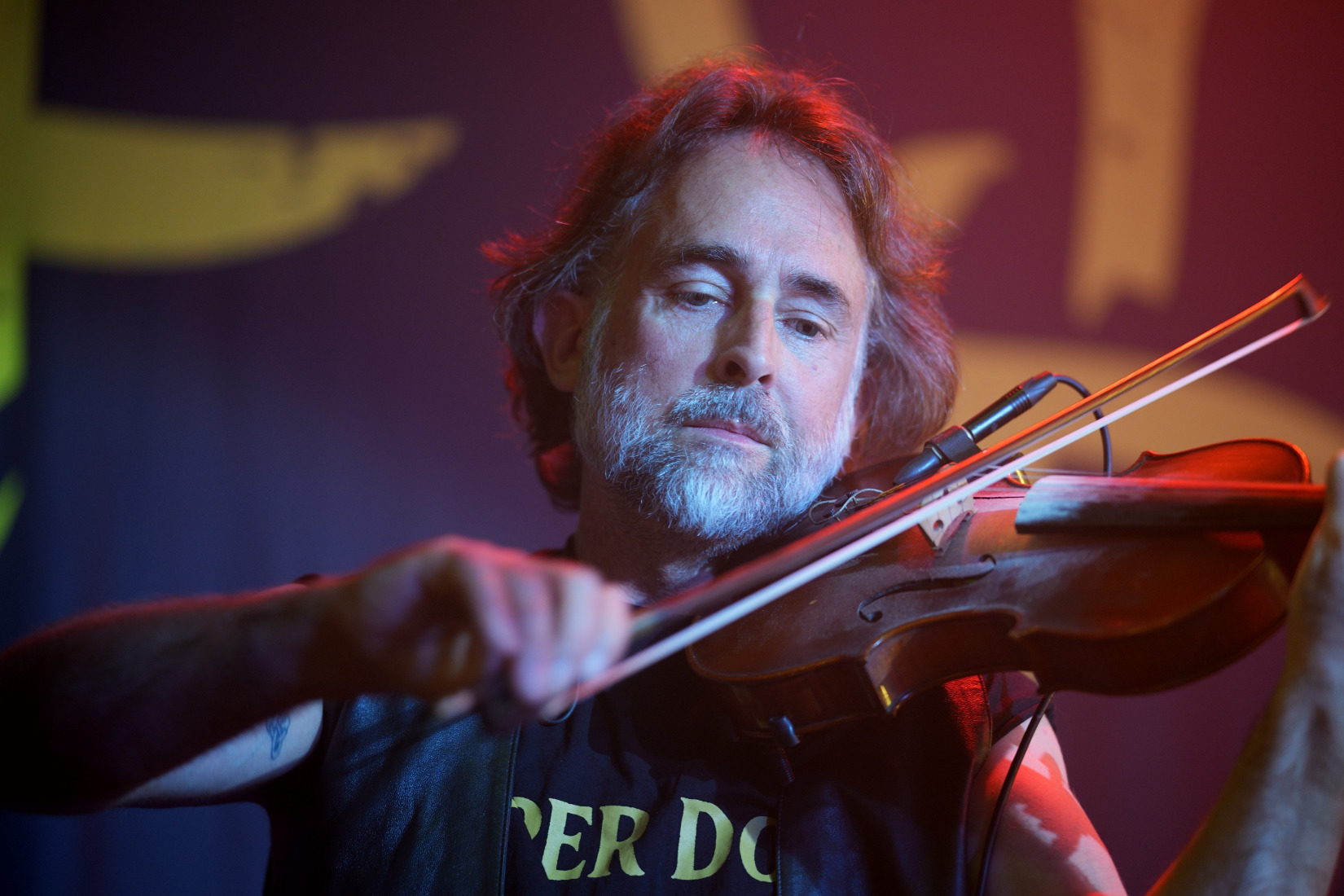 Ferocious dog at the sugarmill in Stoke