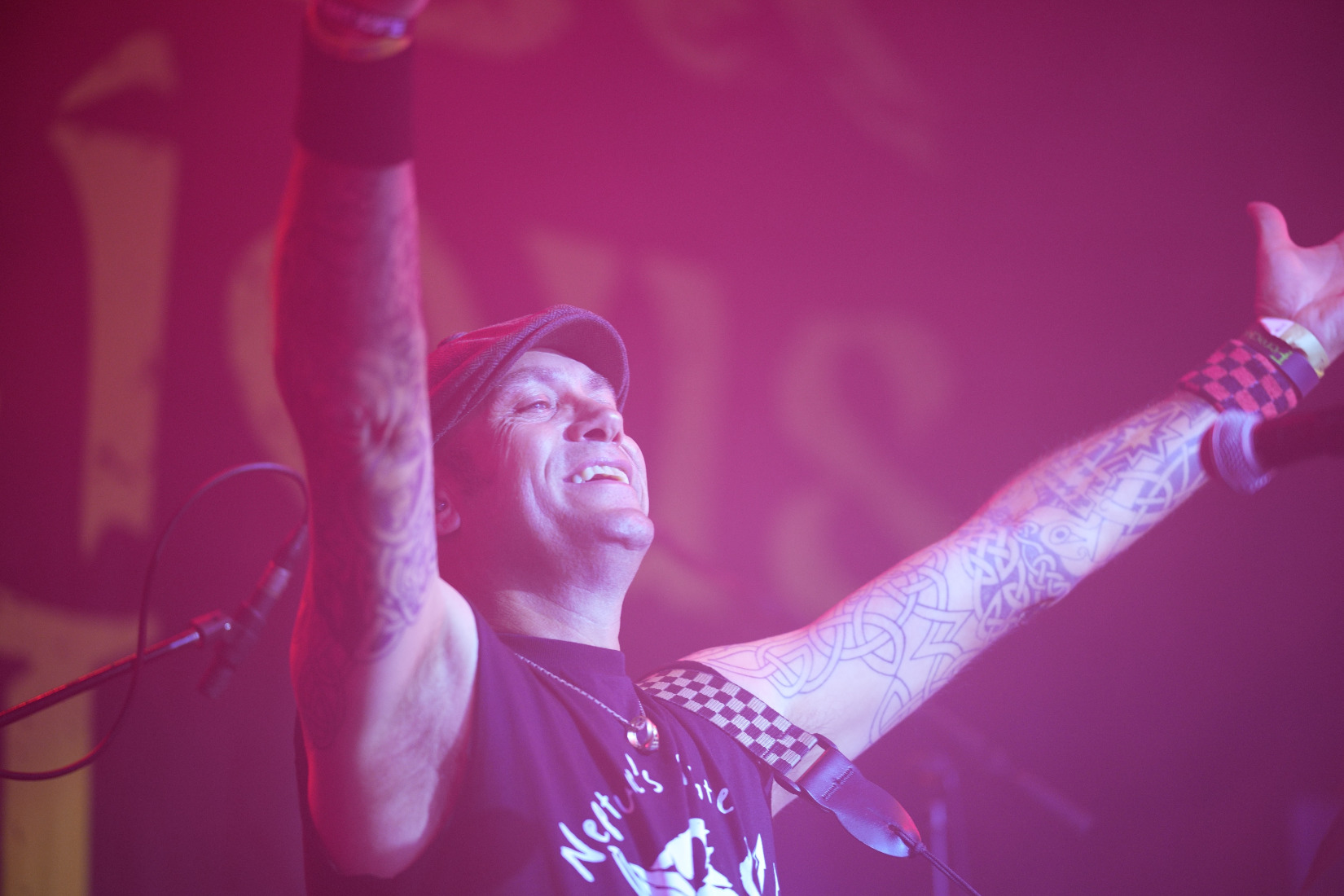 Ferocious dog at the sugarmill in Stoke