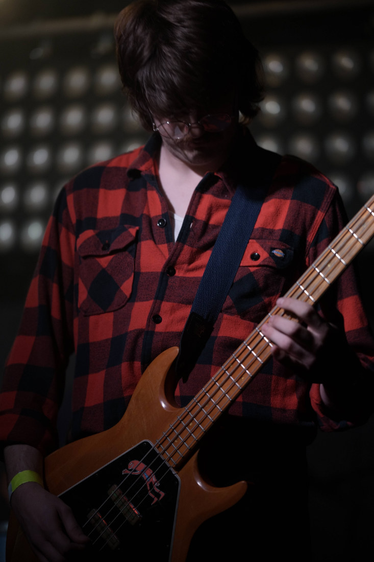 Gambling with dogs at the underground stoke