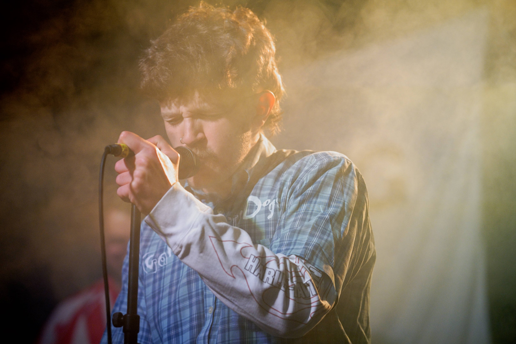 Gambling with Dogs at the Undergound