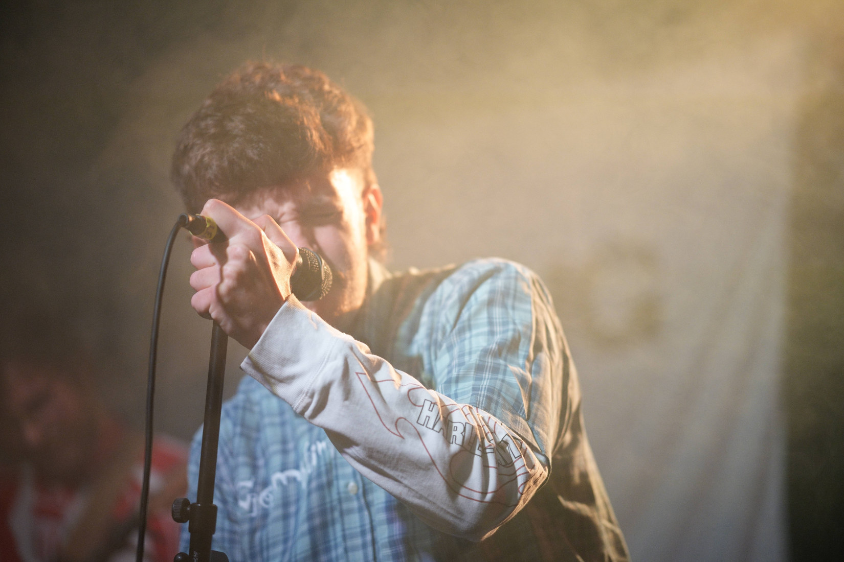 Gambling with dogs at the underground stoke